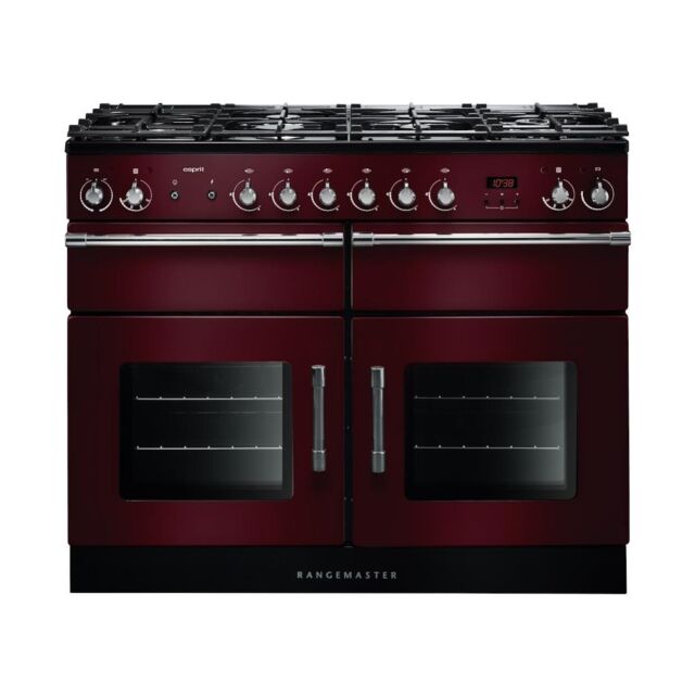 Rangemaster ESP110DFFCY/C Esprit 110 Dual Fuel Range Cooker